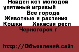 Найден кот,молодой упитаный игривый 12.03.2017 - Все города Животные и растения » Кошки   . Хакасия респ.,Черногорск г.